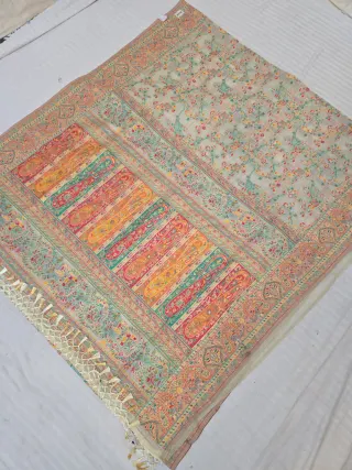 Soft Beige Diagonal Paisley Kalka Tapestry and Floral Jaal Kashat Soft Silk Saree