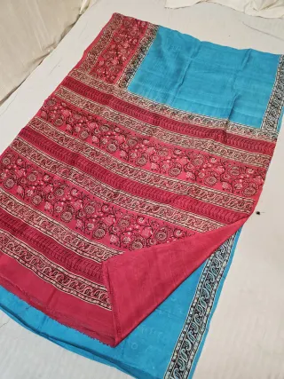 Sky Blue & Crimson Red Pure Murshidabad Silk Saree with Katan Madhubani Botanical Floral & Paisley Pallu
