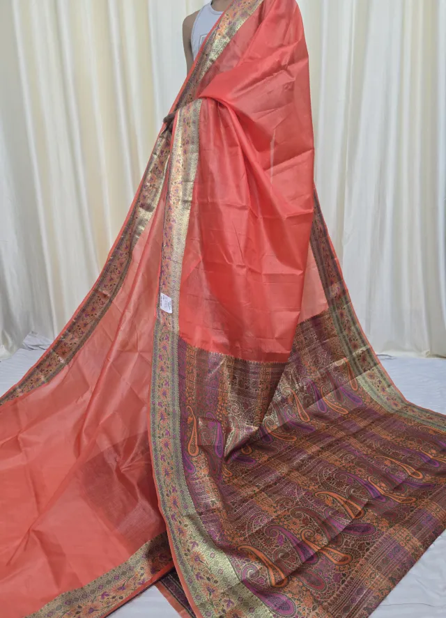 Peach Tussar Silk Paithani Saree with Paisley Tapestry Pallu